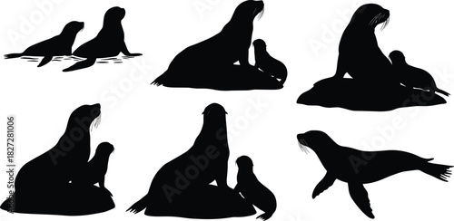 Sea lion silhouettes with pup, marine animal illustration, wildlife vector art, ocean creature design, seal family on rock, aquatic life graphic, nature theme