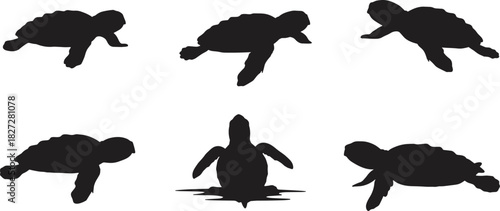 Silhouette collection of sea turtles swimming and crawling in various poses isolated on white background marine wildlife vector illustration design
