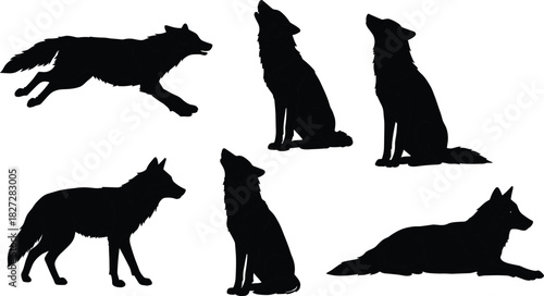 Black wolf silhouette set on white background, showing howling, running, sitting, walking, and lying poses, wild forest animal vector illustration