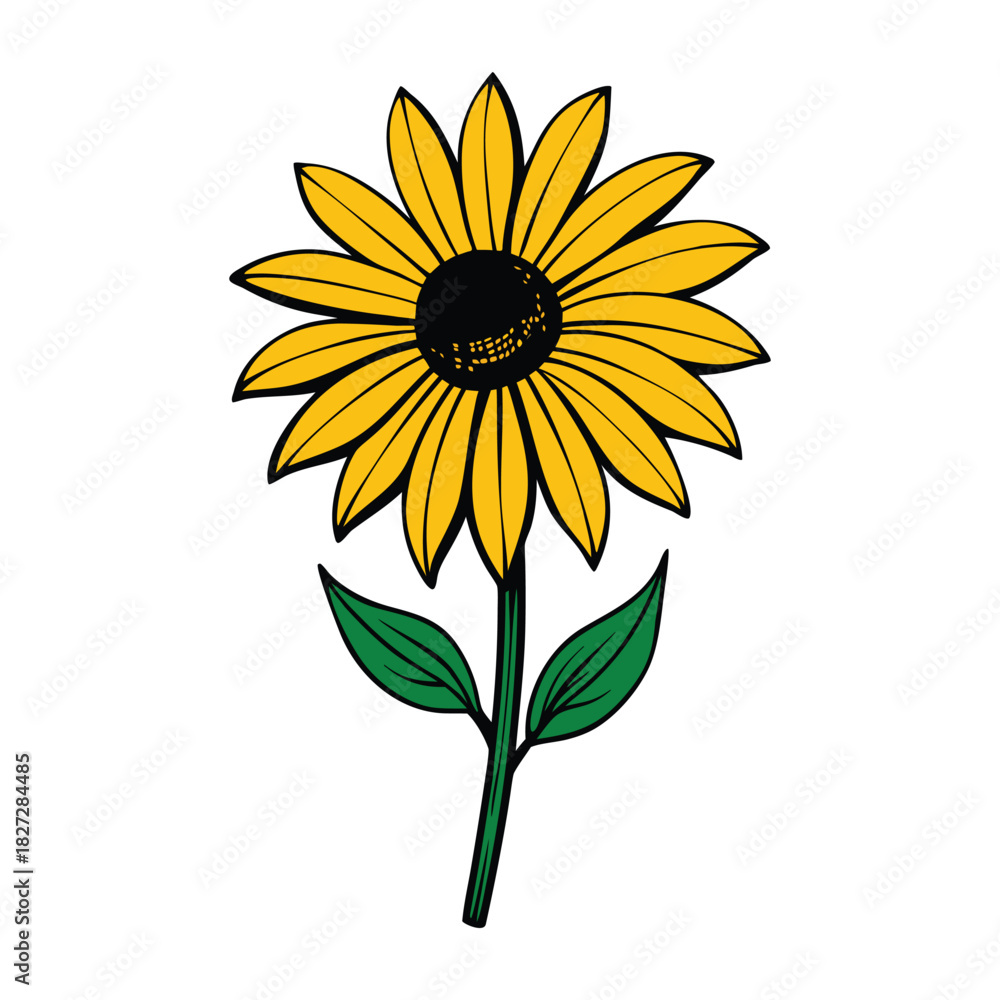 Fototapeta premium Black eyed susan flower botanical line art vector for natural design projects
