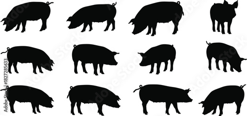 Collection of black silhouette vector illustrations of pigs standing and walking in various poses, isolated on white background, farming and livestock concept.