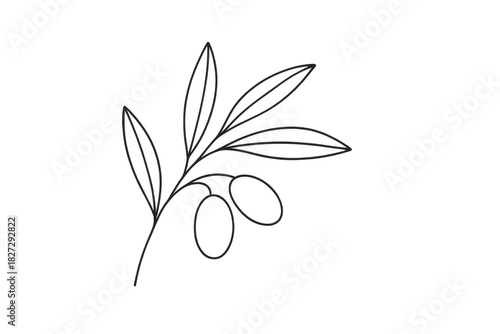 Olive branch line art icon on transparent background