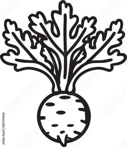 Celeriac (Celery Root) icon clean simple outline