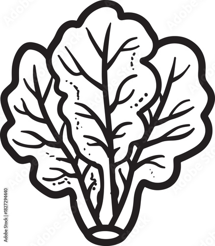 Lettuce icon clean simple outline