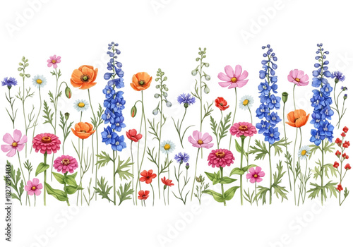 Watercolor border of colorful wild meadow flowers including poppies, zinnias, and delphiniums