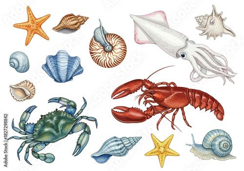 Collection of watercolor sea life and shell illustrations