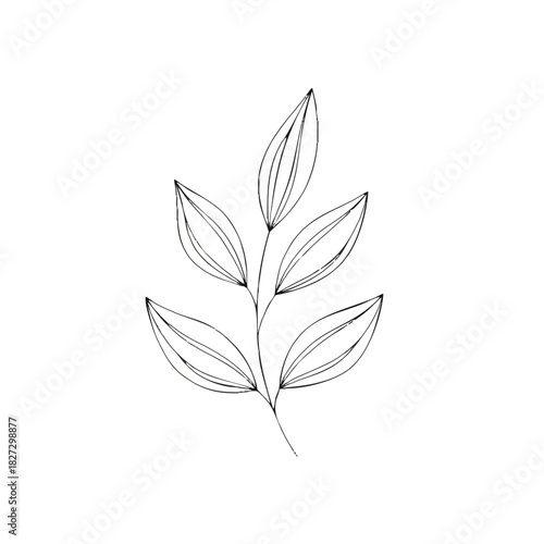 Minimalist line drawing of a leafy branch with five leaves on a white background in a simple, elegant style.