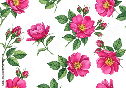 Watercolor seamless pattern with blooming pink wild roses and buds on for textile design