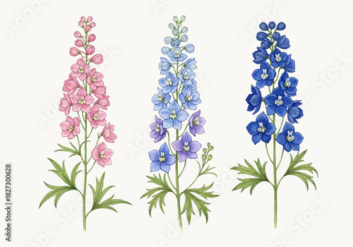 Watercolor illustration of three delphinium flower stalks in shades of pink, light blue, and deep blue