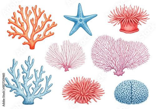 Collection of colorful watercolor sea life illustration including various coral types, sea anemone, and starfish