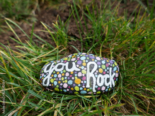 Cuadro en lienzo You rock kindness rock in clump of grass