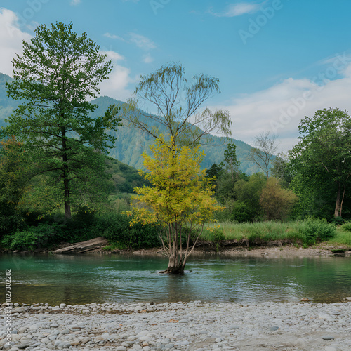 Bright yellow tree reflected in clear river water with mountains vactor isolated on a transparent background