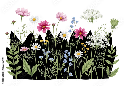 Watercolor illustration of a vibrant meadow border with pink cosmos, white daisies, and delicate blue wildflowers