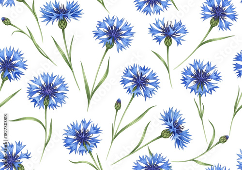 Watercolor seamless pattern with delicate blue cornflower blossom and stem