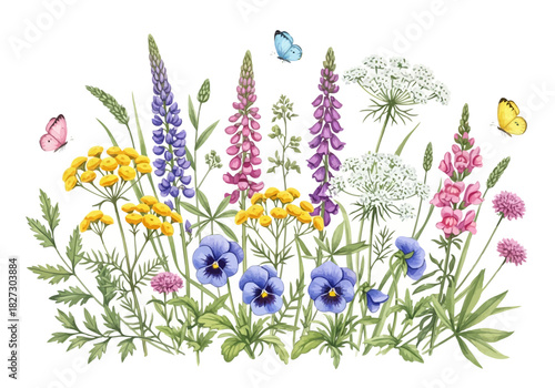 Watercolor illustration of a beautiful summer wildflower bouquet with lupine, pansy, and yarrow