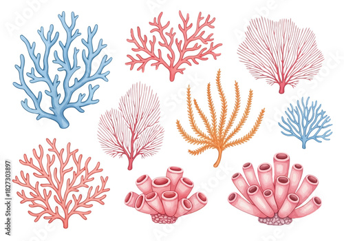 Collection of watercolor illustrations of various types of colorful coral
