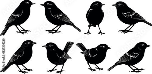 Set of small bird silhouettes perched and standing in various poses, vector illustration for nature, ornithology, wildlife, and garden design elements