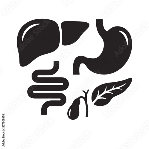 Complete human internal organs vector set illustration