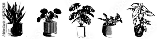 Plant in Pot Black and White Silhouette Vector Ideal for gardening, interior decor, nature, and simple botanical graphics. Symbolizes life, growth, home decoration, and nature indoors
