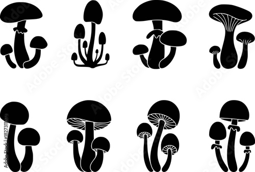 Collection of Black Silhouette Mushroom Illustrations on White Background