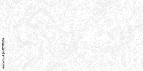 topographic white and grey light wave line topo map contour modern design white background. Wavy topography geography design map, texture, line, adventure, mountain, vector illustration.