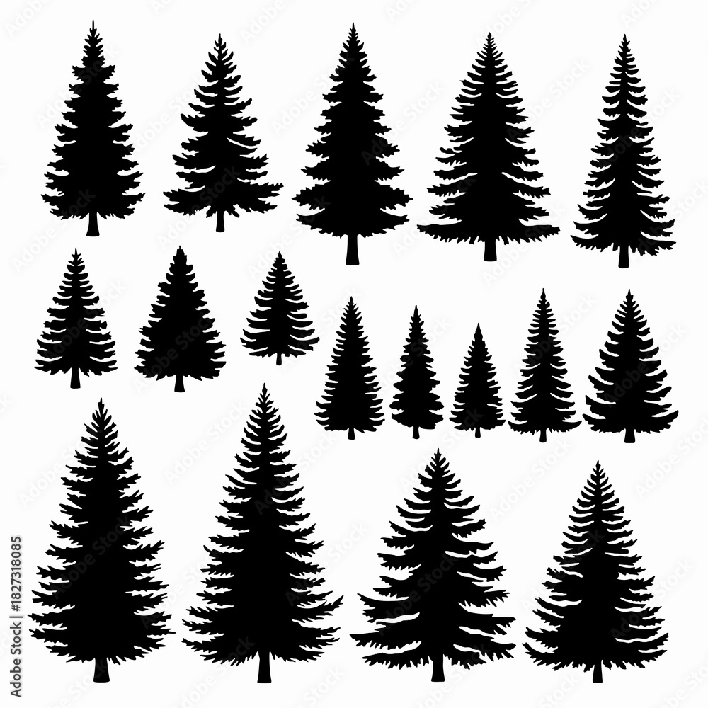 Obraz premium Large Set of Highly Detailed Pine and Fir Tree Silhouettes
