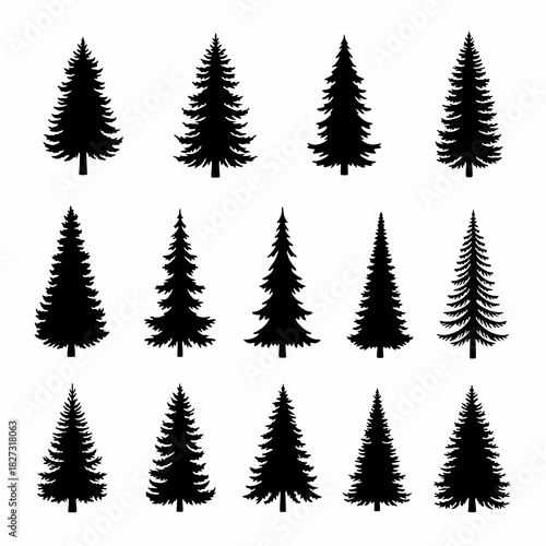 Diverse Black Spruce Tree Silhouettes: Natural Forest Icon Set