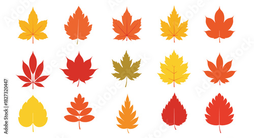 Colorful assortment of vibrant autumn leaves perfect for festive designs and seasonal promotions, adding warmth and charm to any creative project