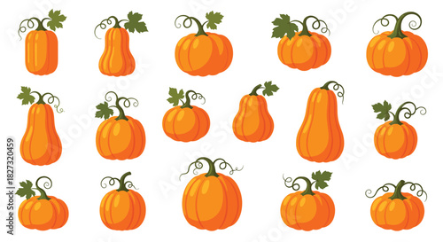 Delightful pumpkin patch illustration with vibrant oranges, perfect for autumn designs and harvest season celebrations, creating a festive fall atmosphere