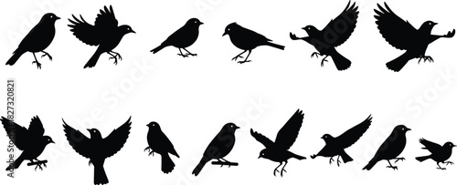 Bird silhouette illustration set, black vector, flight stages, standing, takeoff, landing, wings spread, nature theme, motion artwork