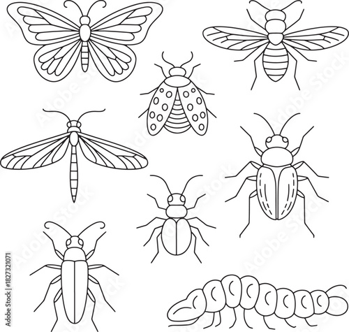 Insects line art vector collection set for kids biology education entomology