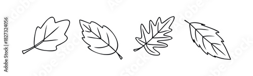 Collection of simple line drawing autumn leaves in various shapes and orientations for seasonal themes and natural motifs for use in marketing and graphic projects