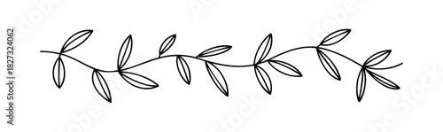 Elegant black vine with delicate leaves extending horizontally, perfect for ornamental borders in floral or natural themed invitations and organic branding projects.