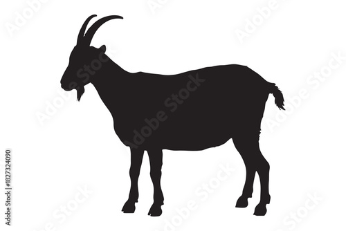  A standing goat with prominent horns in a stark black silhouette