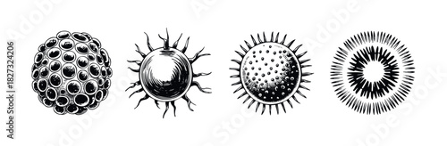 Collection of four distinct spherical microbe or virus representations in a scientific or medical context for use in research or educational materials