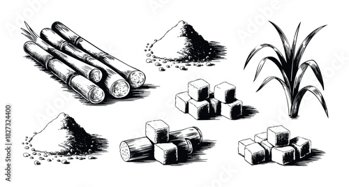 Black and white drawings of sugarcane stalks, sugar cubes, and a pile of granulated sugar, perfect for food and beverage industry marketing.