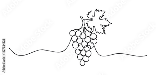 Single line drawing of a bunch of grapes with a leaf and wavy stem, perfect for food and beverage branding, vineyard promotions, or natural harvest themes.