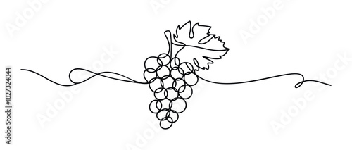 Elegant single line drawing of a grape bunch with a vine and leaf, perfect for vineyard promotion or organic food branding and wine making themes