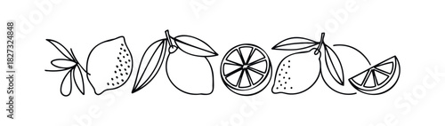 A black and white outline graphic featuring fresh lemons and slices with leaves, perfect for food related marketing or graphic needs