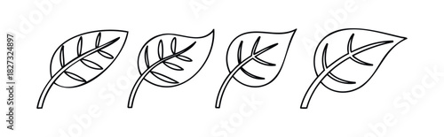 Outline leaves arrangement symbolizing nature and growth, perfect for environmental and organic themes, suitable for websites and presentations