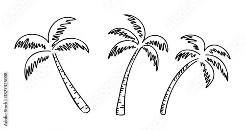 Set of three hand drawn palm trees with simple foliage and textured trunks, perfect for summer vacation themed invitations, beach party flyers, or tropical holiday promotions.