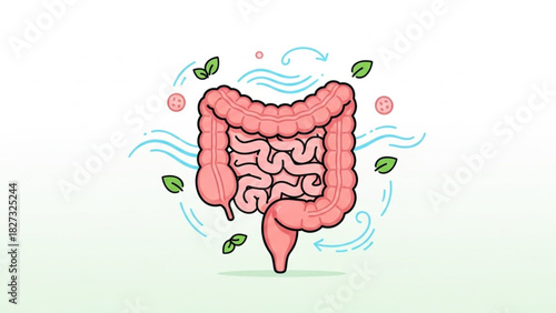 Digestive System Anatomy with Microbiome Elements – Medical Vector Illustration