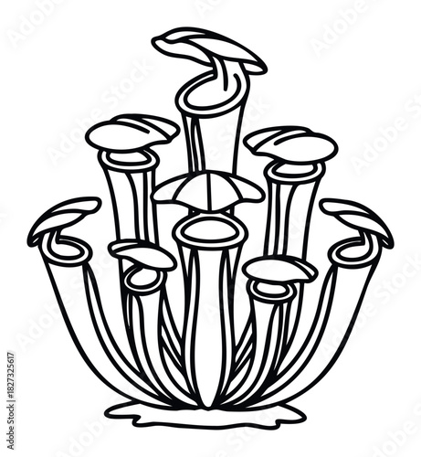 Striking outline graphic of a cluster of carnivorous pitcher plants, ideal for educational materials, nature websites, and botanical graphics.
