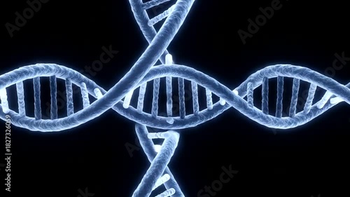 Wallpaper Mural Animated DNA Strands Rotating in a Dark Background, Exploring the Building Blocks of Life, Perfect Torontodigital.ca