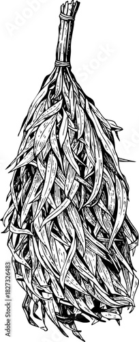 Sauna eucaliptus whisk engraving icon drawing for spa and wellness centers, sauna design, and health blogs