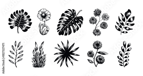 Collection of handdrawn botanical elements including tropical leaves and flowers for naturethemed graphic design projects and natural decor applications.