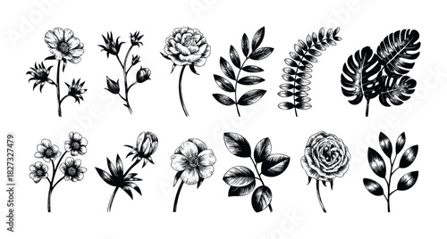 Collection of hand drawn botanical elements and floral motifs for decorative use in graphic projects and invitations