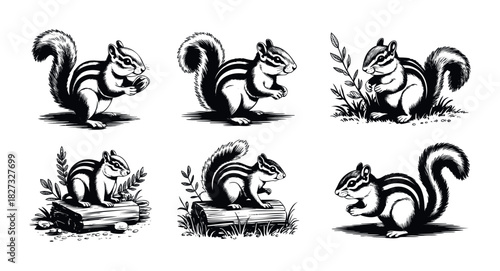 Six charming chipmunks shown in various poses holding nuts and resting on logs and grass, perfect for nature themed projects and wildlife graphics.