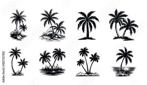 Collection of black and white silhouette palm trees on islands and in water, perfect for travel, vacation, and summer themed projects.