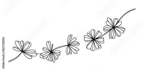 Black and white outline of a delicate floral vine with multiple starshaped flowers curving across a white background, perfect for invitation cards and feminine decor.